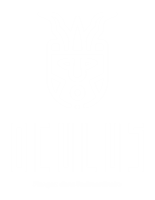 Oculus Partner